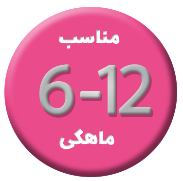 6-12 ماهگی